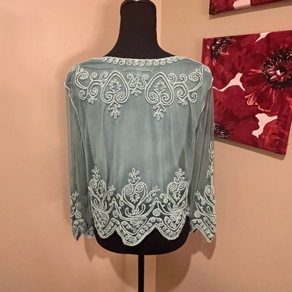 Pretty Angel Boho Mesh Crop Top Silk Blend Sheer Embroidered Long Sleeves, Large - Picture 5 of 6
